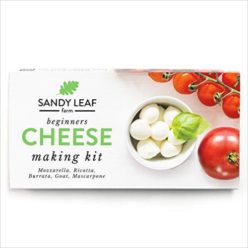 Beginners Cheese Making Kit - Gifteee Unique & Unusual gifts, Cool gift ideas