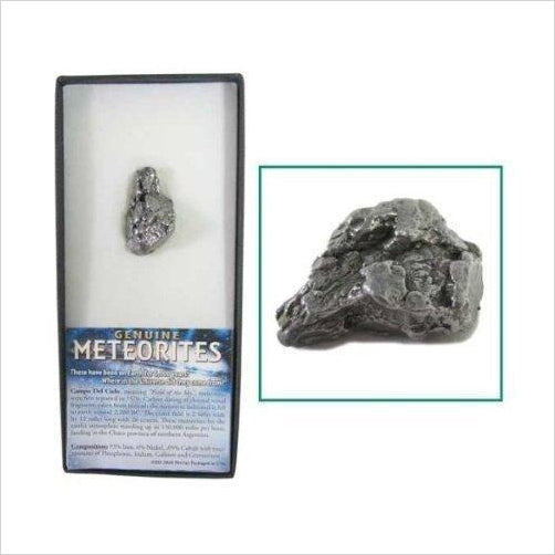 Genuine Meteorites Approx 4,200 Years Old - Gifteee. Find cool & unique gifts for men, women and kids
