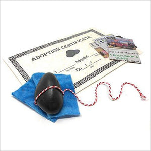Rock Pet Kit with Adoption Certificate - Gifteee. Find cool & unique gifts for men, women and kids