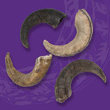 Load image into Gallery viewer, Large Lamb Horn Dog Chew - Gifteee Unique &amp; Unusual gifts, Cool gift ideas
