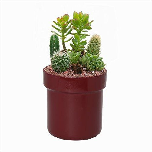 Flower Pot Diversion Safe with Key Lock - Gifteee. Find cool & unique gifts for men, women and kids