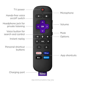 Voice Remote Pro with TV controls