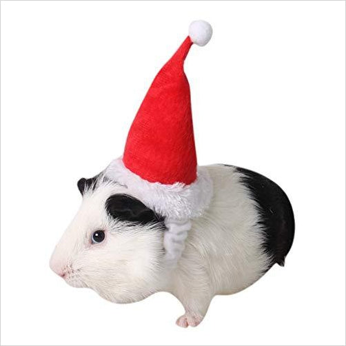 Hamster Santa Hat - Gifteee Unique & Unusual gifts, Cool gift ideas