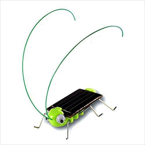 Solar Powered Grasshopper - Gifteee. Find cool & unique gifts for men, women and kids