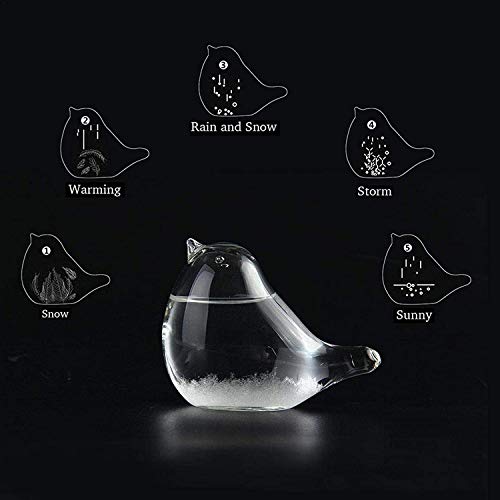 Storm Glass Weather Forecaster - Gifteee - Unique Gifts | Cool Gift Ideas for Kids, Men and Women