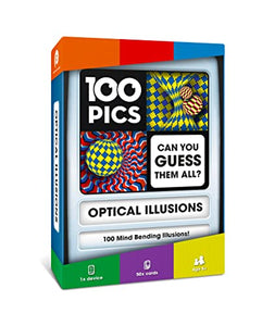 Optical Illusions Travel Game
