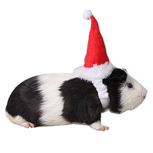 Load image into Gallery viewer, Hamster Santa Hat - Gifteee. Find cool &amp; unique gifts for men, women and kids
