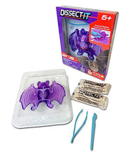 Load image into Gallery viewer, Synthetic Lab Dissection Toy - Bat
