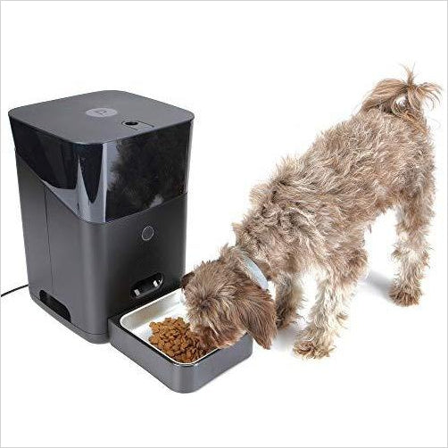 Automatic Pet Feeder - Gifteee. Find cool & unique gifts for men, women and kids