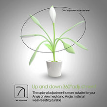 Load image into Gallery viewer, Plant Desk Lamp - Gifteee. Find cool &amp; unique gifts for men, women and kids
