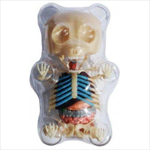 Gummi Bear Skeleton Anatomy Model Kit - Gifteee Unique & Unusual gifts, Cool gift ideas