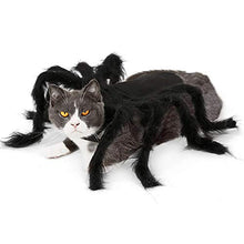 Load image into Gallery viewer, Dogs Cats Spider Costume
