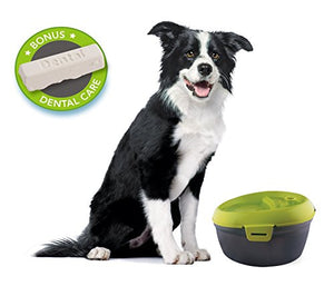 A bowl that filters your pet's water. - Gifteee. Find cool & unique gifts for men, women and kids