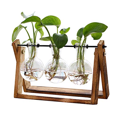 Air Planter Bulb Vase - Gifteee Unique & Unusual gifts, Cool gift ideas