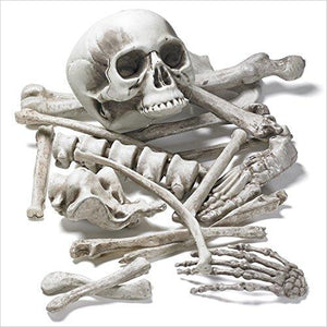 Bag of Skeleton Bones and Skull - Gifteee. Find cool & unique gifts for men, women and kids