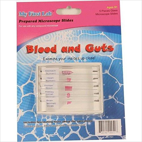 Microscope Prepared Slide Set - Blood & Guts (5 Slides) - Gifteee Unique & Unusual gifts, Cool gift ideas