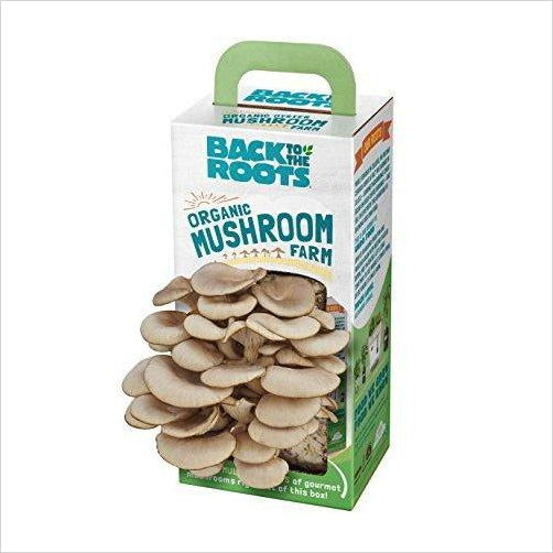 Organic Mushroom Farm - Gifteee Unique & Unusual gifts, Cool gift ideas