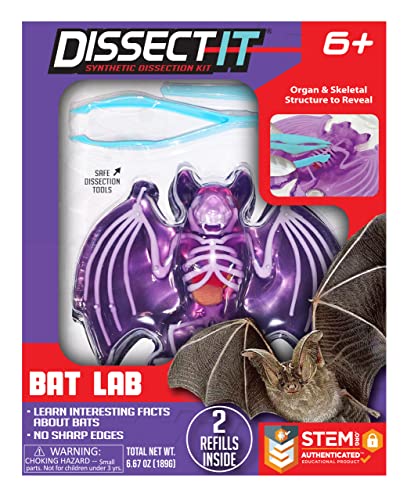 Synthetic Lab Dissection Toy - Bat - Gifteee Unique & Unusual gifts, Cool gift ideas