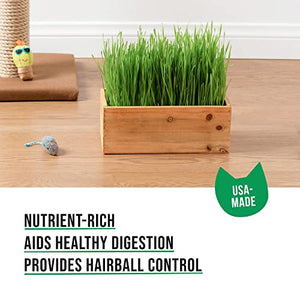 Cat Grass Kit (Organic)