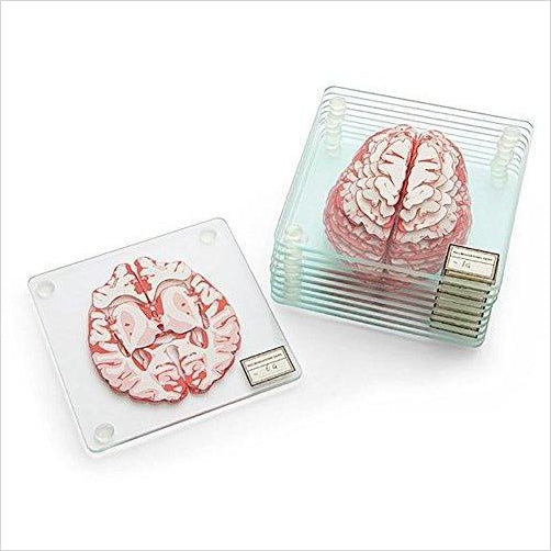 Brain Specimen Coasters - Gifteee. Find cool & unique gifts for men, women and kids