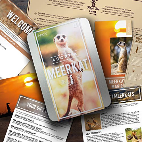 Adopt a Meerkat - Gifteee Unique & Unusual gifts, Cool gift ideas