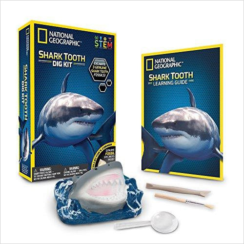 Shark Tooth Dig Kit - Gifteee Unique & Unusual gifts, Cool gift ideas