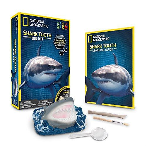 Shark Tooth Dig Kit - Gifteee. Find cool & unique gifts for men, women and kids