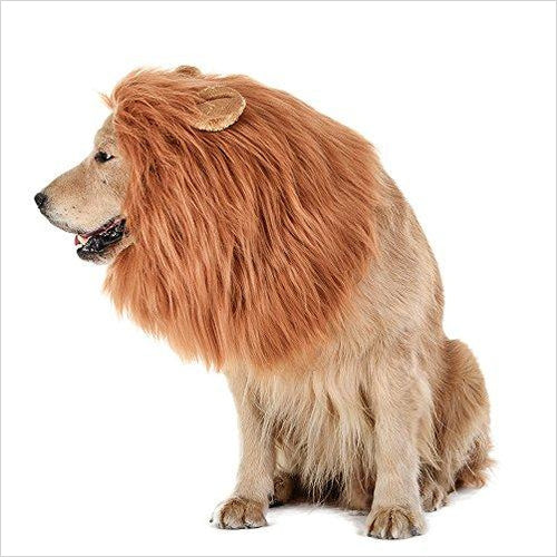 Lion Wig for Dogs - Gifteee. Find cool & unique gifts for men, women and kids