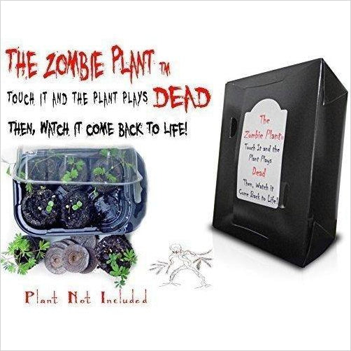 Zombie Plant Grow Kit - Gifteee Unique & Unusual gifts, Cool gift ideas