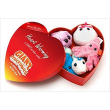 Load image into Gallery viewer, GIANT MICROBES Romantic Heart Warming Plush Gift Box - Gifteee. Find cool &amp; unique gifts for men, women and kids
