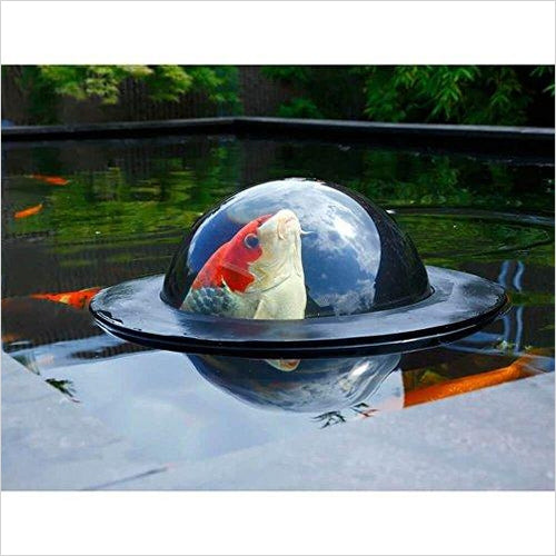 Floating Fish Dome - Gifteee. Find cool & unique gifts for men, women and kids