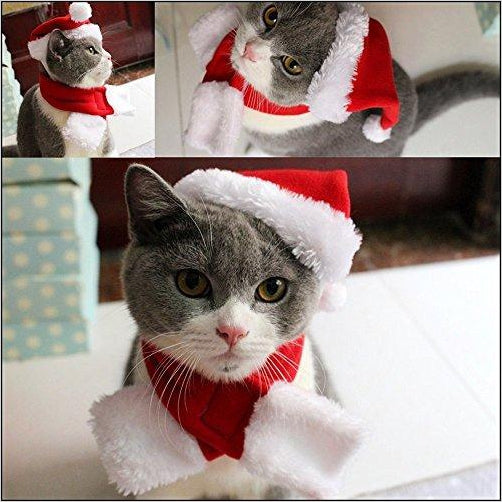 Pet Christmas Hat - Gifteee Unique & Unusual gifts, Cool gift ideas