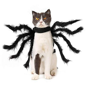 Dogs Cats Spider Costume