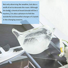 Load image into Gallery viewer, Storm Glass Weather Forecaster
