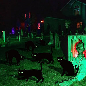 Black Cat Halloween Decor