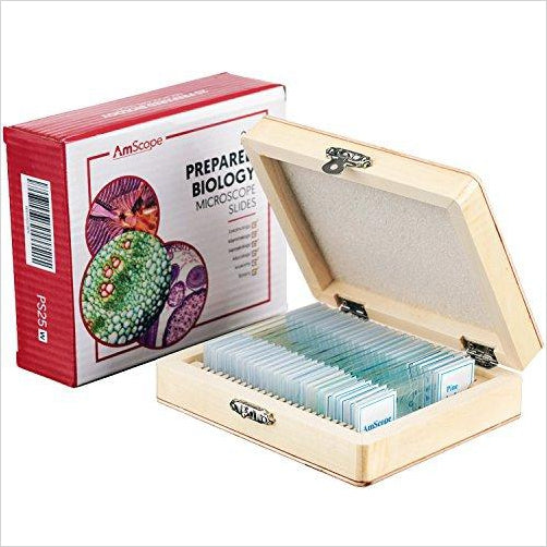 Microscope Slide Set - Gifteee Unique & Unusual gifts, Cool gift ideas