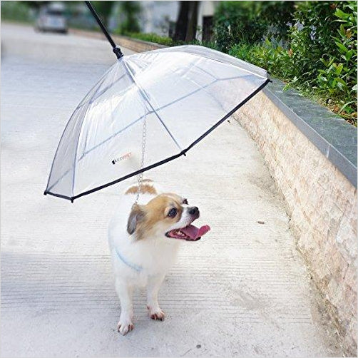 Pet Dog Umbrella with Leash for Small Pets - Gifteee Unique & Unusual gifts, Cool gift ideas