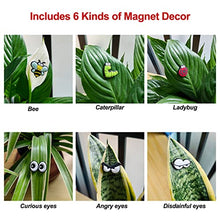 Load image into Gallery viewer, Plant Magnets Eyes for Potted Plants
