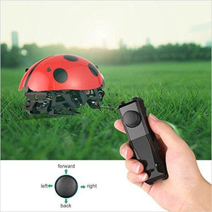 Ladybug RC Smart Insect Robot Toy - DIY Robot Kit - Gifteee. Find cool & unique gifts for men, women and kids