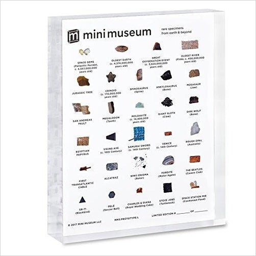 Mini Museum | Science and History Collection | 29 Specimens - Gifteee. Find cool & unique gifts for men, women and kids