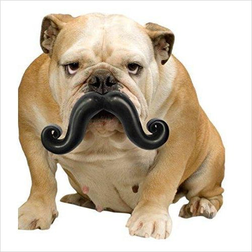 Mustache Chew Dog Toy - Gifteee. Find cool & unique gifts for men, women and kids