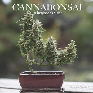 Cannabonsai: A Beginners Guide