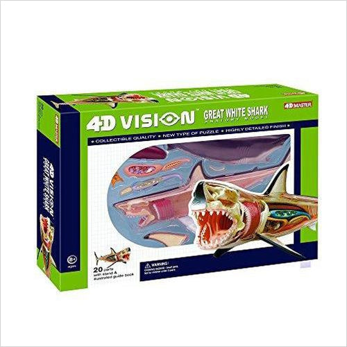 Great White Shark Anatomy Model - Gifteee Unique & Unusual gifts, Cool gift ideas
