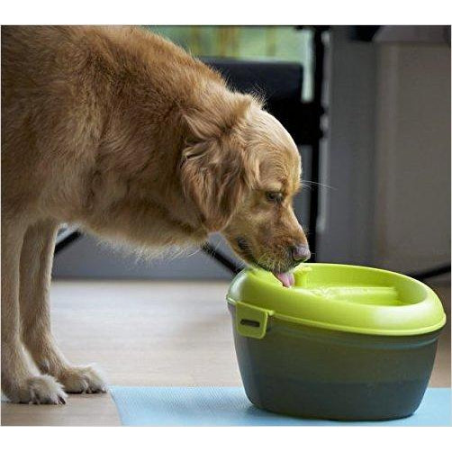 A bowl that filters your pet's water. - Gifteee Unique & Unusual gifts, Cool gift ideas