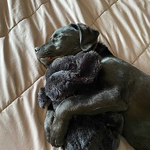 Snuggle Puppy Heartbeat Stuffed Toy for Dogs - Gifteee Unique & Unusual gifts, Cool gift ideas