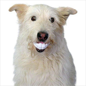 Teeth Chew Dog Toy - Gifteee. Find cool & unique gifts for men, women and kids