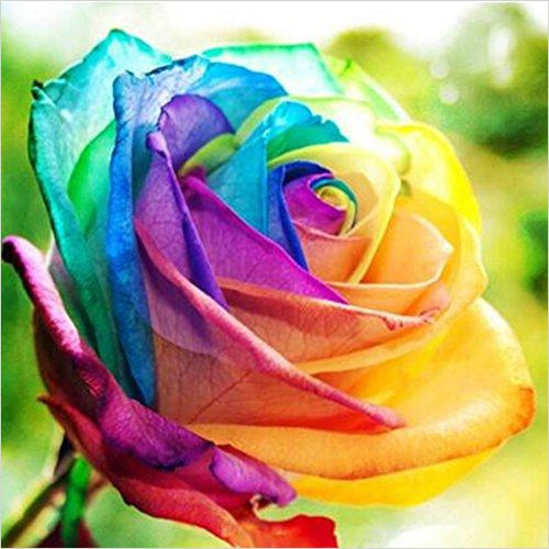 17 Color Rose Seeds - Gifteee. Find cool & unique gifts for men, women and kids