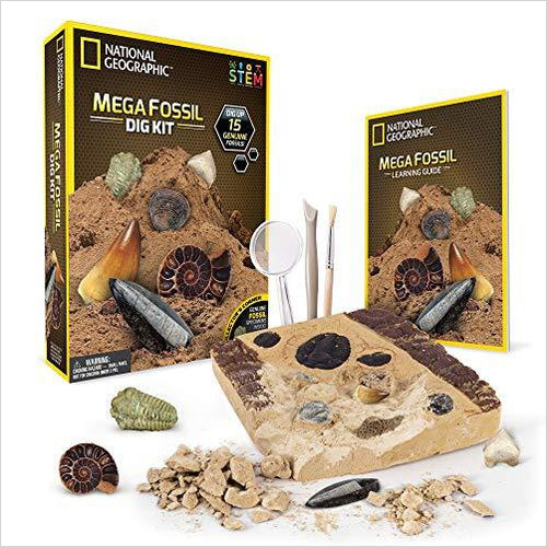 Mega Fossil Mine – Dig Up 15 Real Fossils - Gifteee Unique & Unusual gifts, Cool gift ideas
