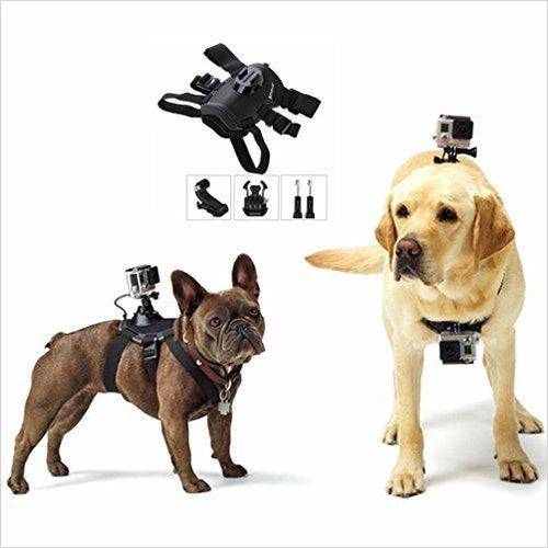 Dog Harness Mount for Camera / GoPro - Gifteee Unique & Unusual gifts, Cool gift ideas