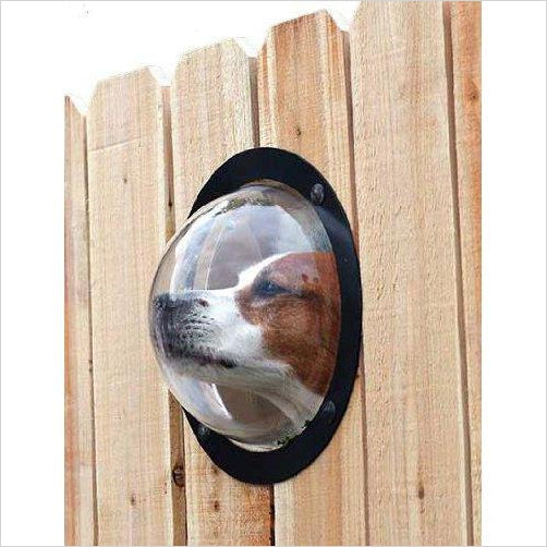 Fence Window for Pets - Gifteee Unique & Unusual gifts, Cool gift ideas